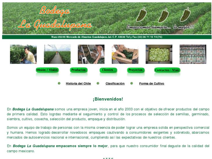 www.bodegalaguadalupana.com