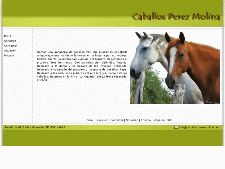 www.caballosperezmolina.com