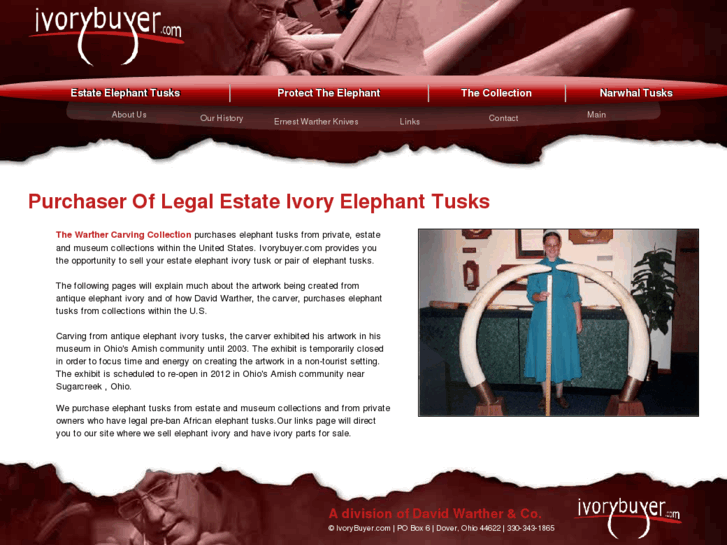 www.elephanttusks.net