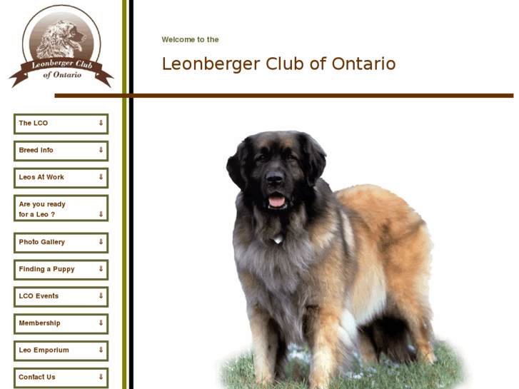 www.leonbergerclubofontario.com