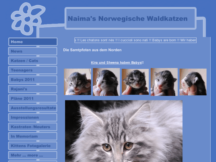 www.naimas.ch