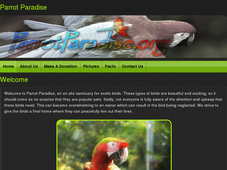 www.parrotparadise.org