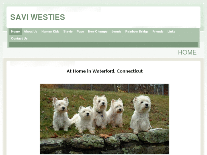 www.saviwesties.net