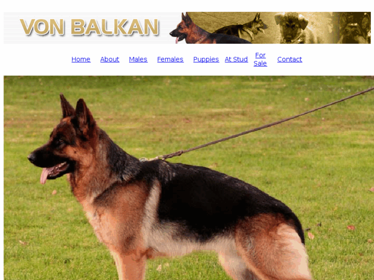 www.vonbalkan.com