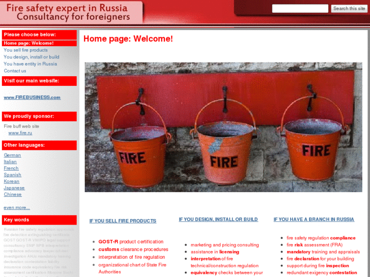 www.fire-safety-adviser-in-russia.com