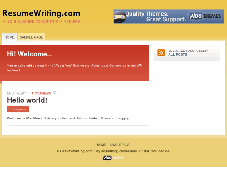 www.resumewriting.com