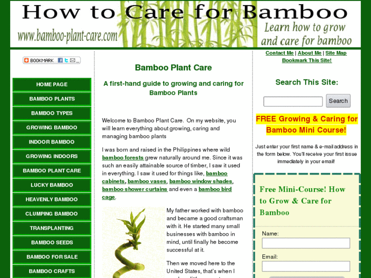 www.bamboo-plant-care.com