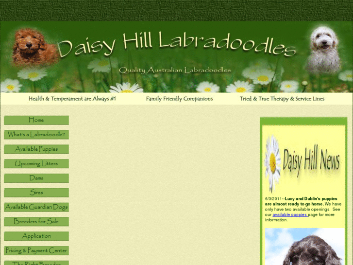 www.daisyhilllabradoodles.com