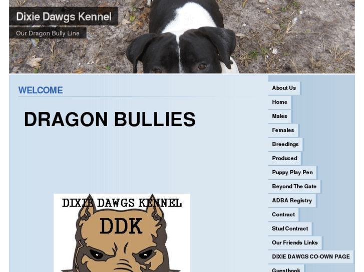 www.dixiedawgskennels.com