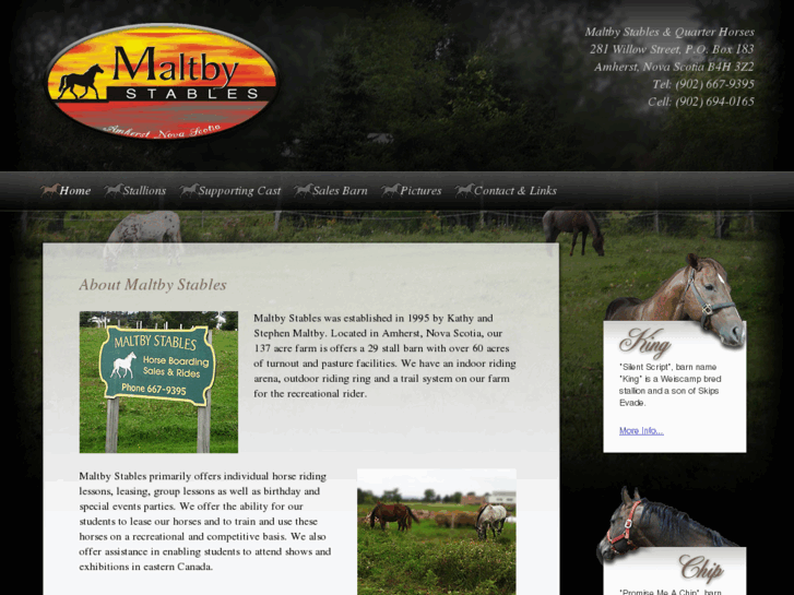 www.maltbyquarterhorses.com