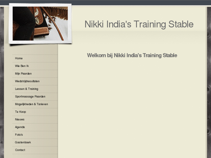 www.nikkiindia.com