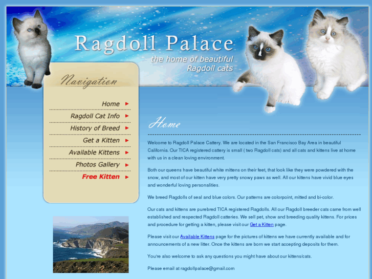 www.ragdollpalace.com