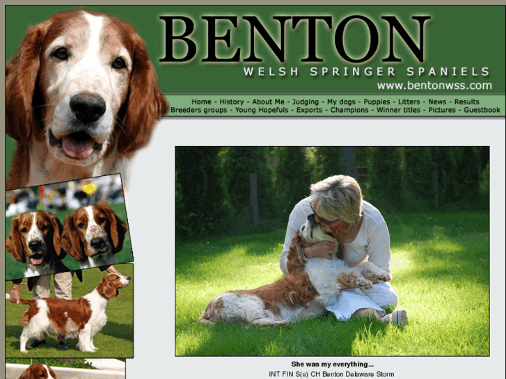 www.bentonwss.com