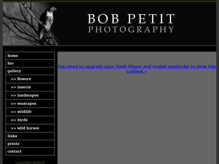 www.bobpetitphotography.com