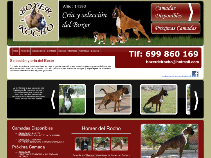 www.boxerdelrocho.es