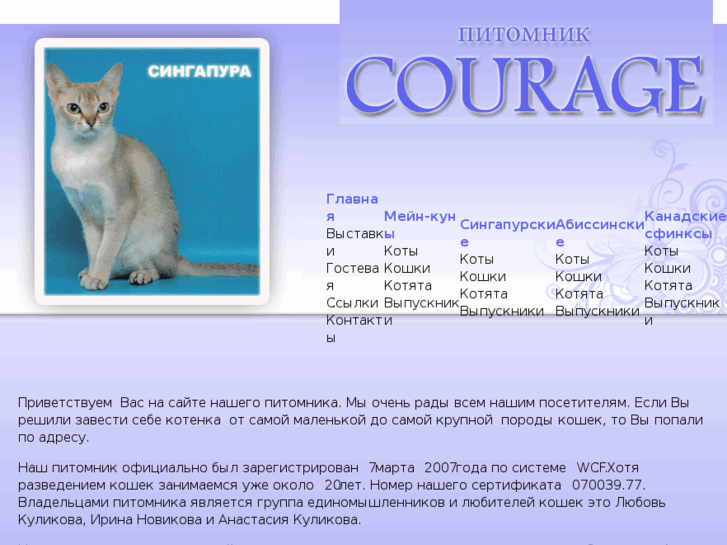 www.couragecat.com