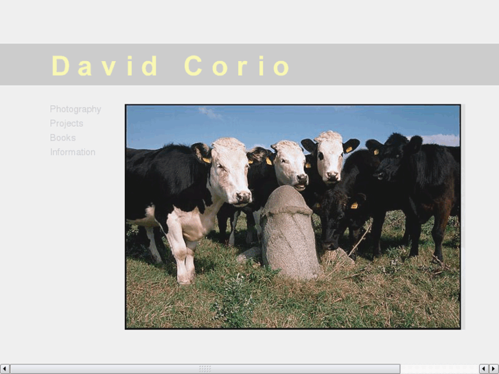 www.davidcorio.com