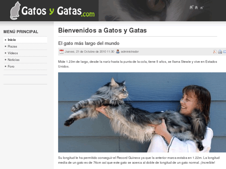 www.gatosygatas.com