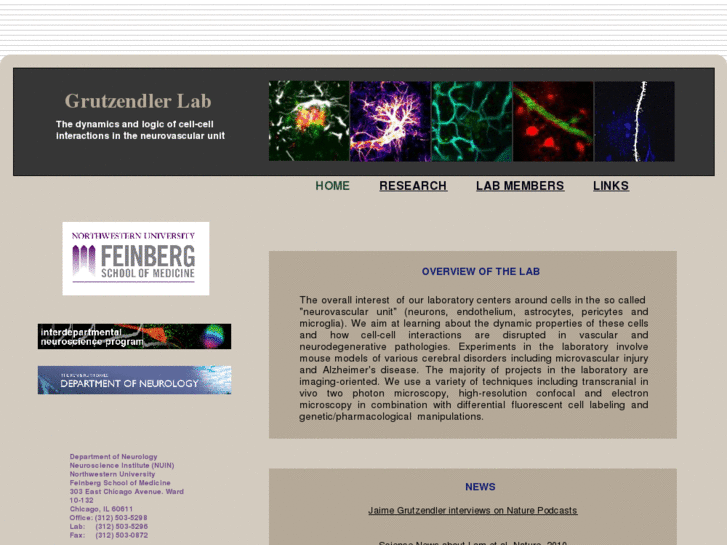 www.grutzendler-laboratory.com