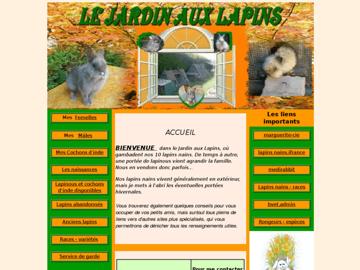 www.lejardinauxlapins.com