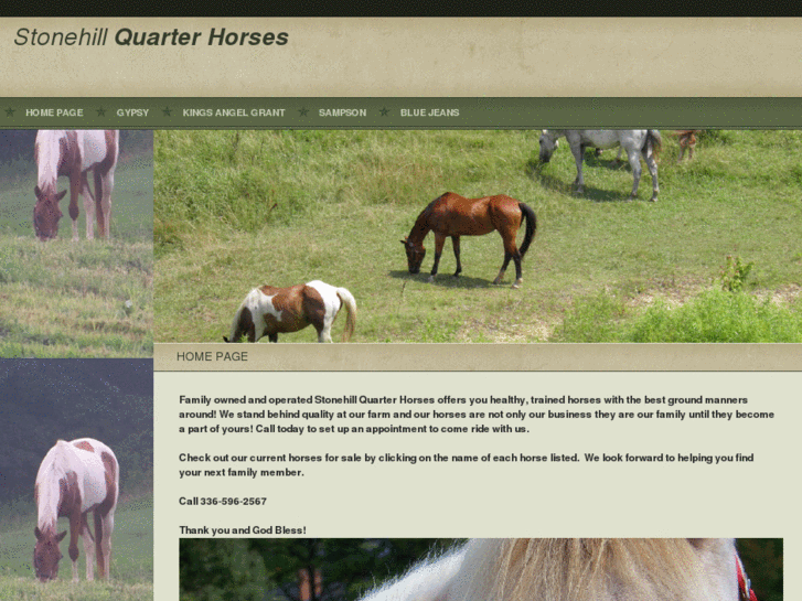 www.stonehillquarterhorses.com