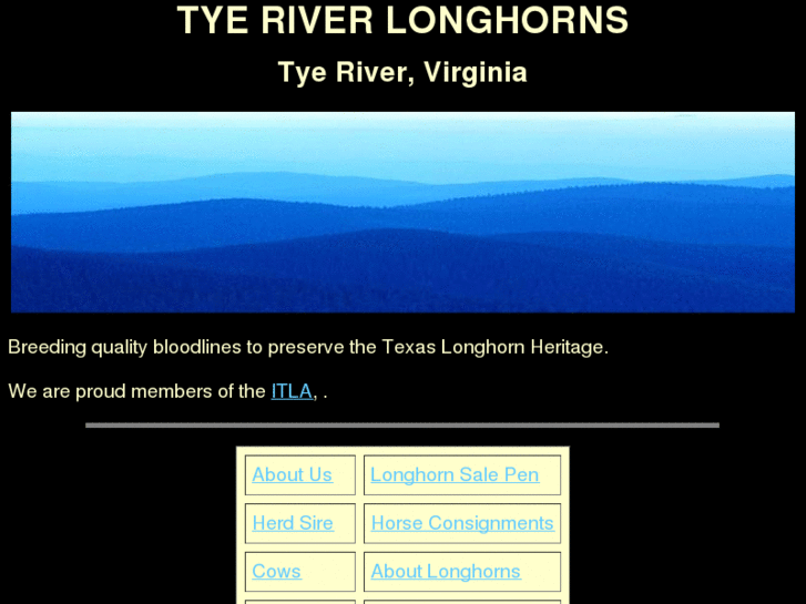 www.tyeriverlonghorns.com