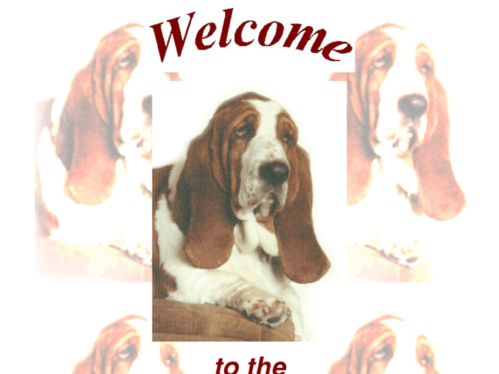 www.bassethoundwelfare.org.uk