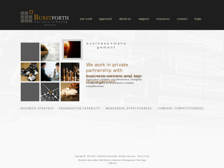 www.burstforthconsulting.com