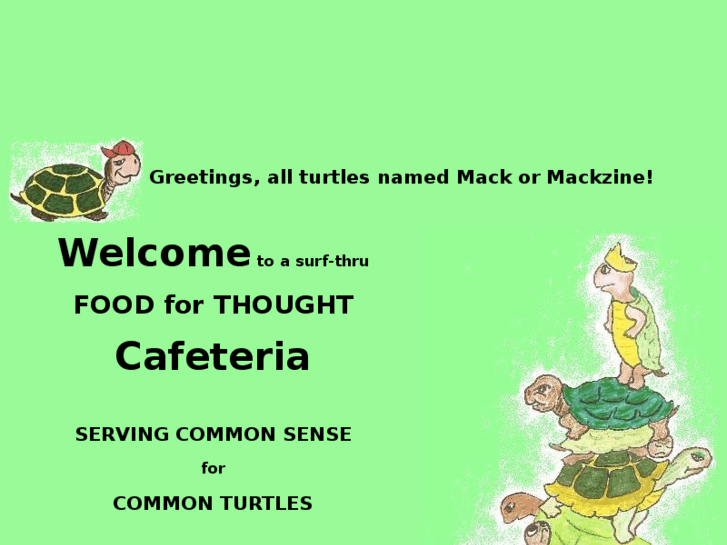 www.forturtlesnamedmack.org