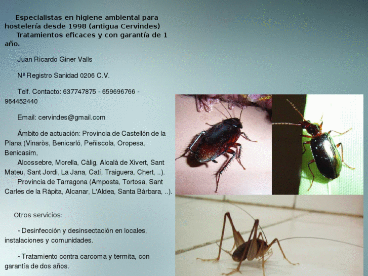 www.juanricardoginer.es