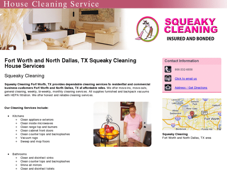 www.squeakycleaningtx.com