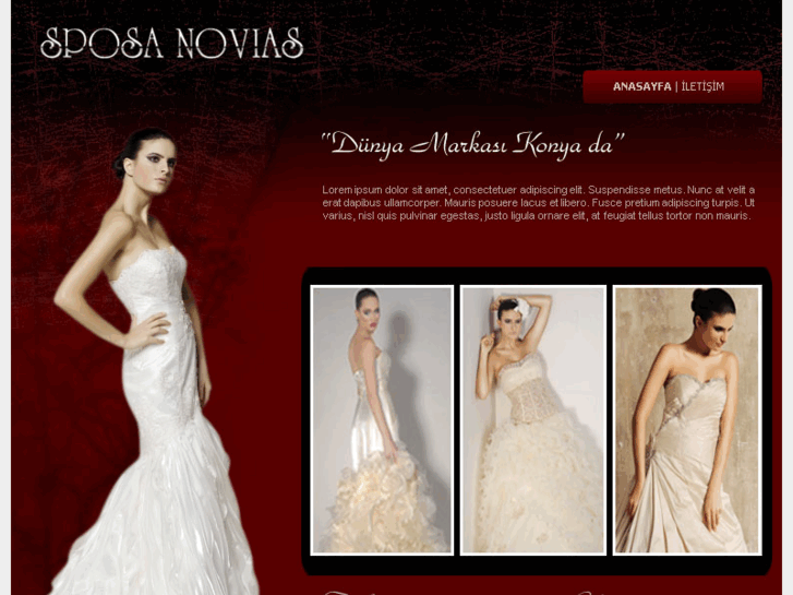 www.algora.net