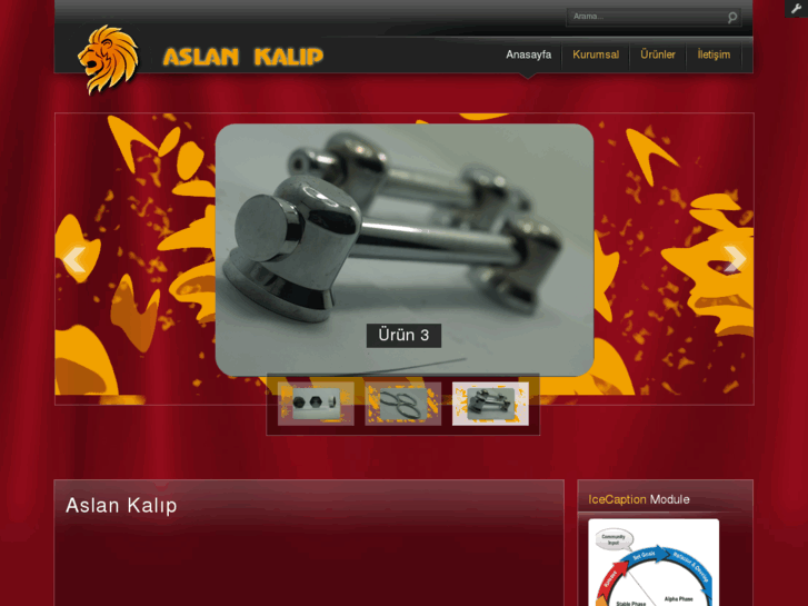 www.aslankalip.com