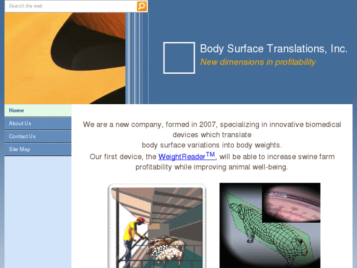 www.bodysurfacetranslations.com