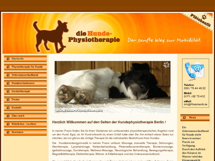 www.die-hundephysiotherapie.net