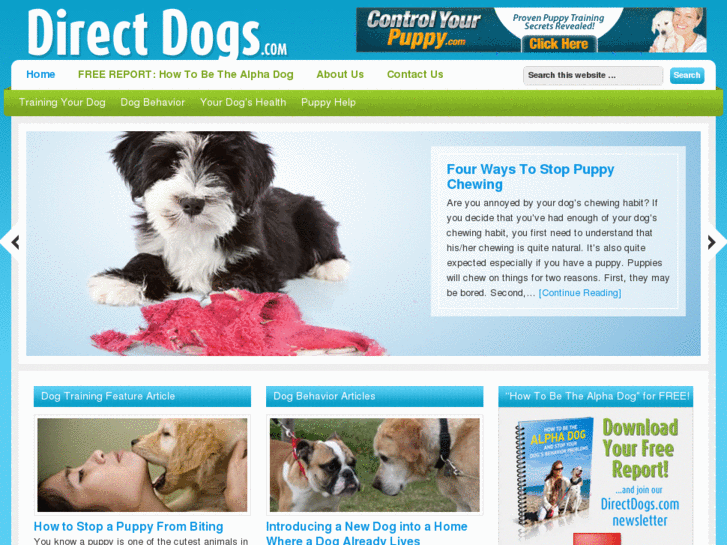 www.directdogs.com