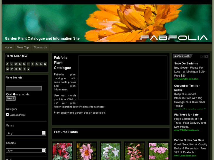 www.fabfolia.co.uk