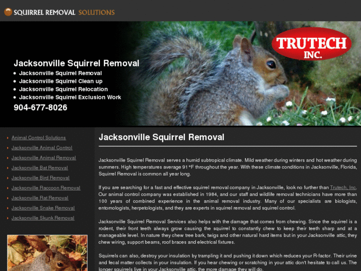 www.jacksonvillesquirrelremoval.com