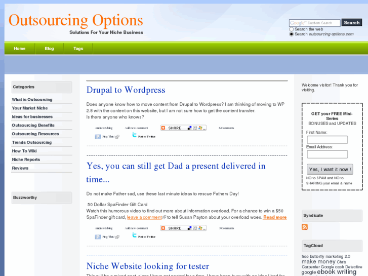 www.outsourcing-options.com