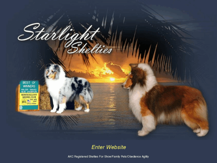 www.starlightshelties.net