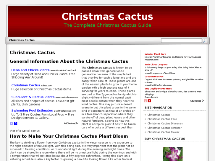 www.christmascactus.org