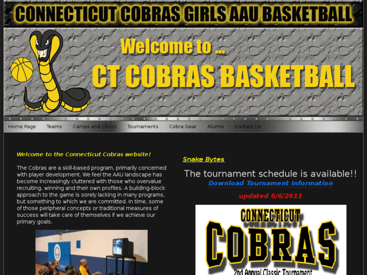 www.ctcobras.com