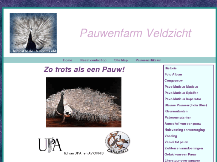 www.pauwen.com