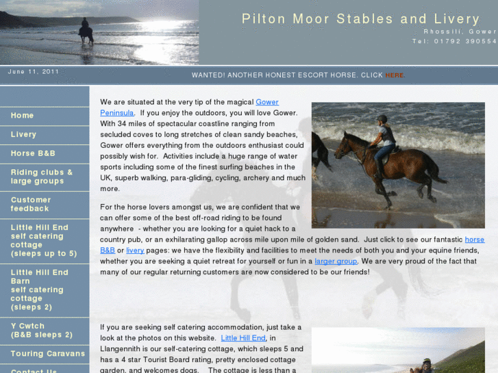 www.piltonmoorstables.co.uk