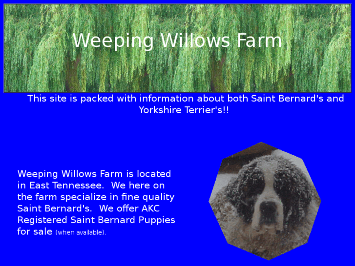 www.weepingwillowsfarm.com