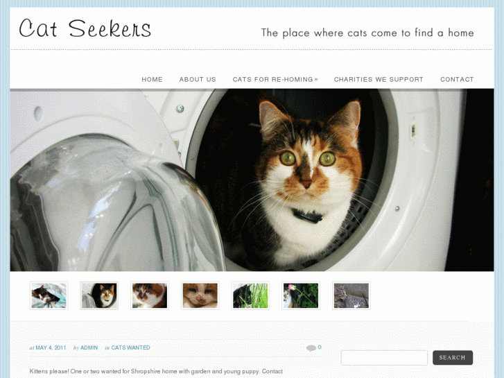 www.catseekers.com