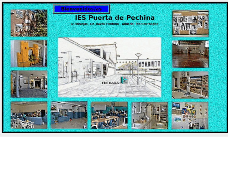 www.iespuertadepechina.es