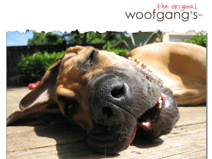 www.woofgangs.com