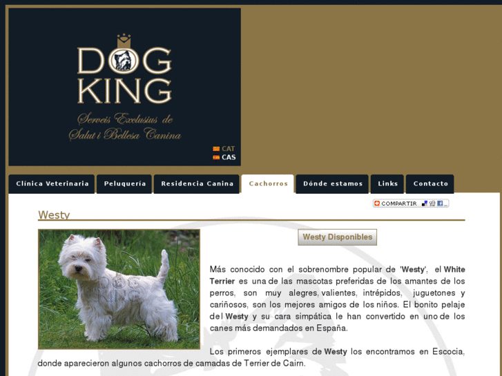 www.cachorroswesthighlandwhiteterrier.es