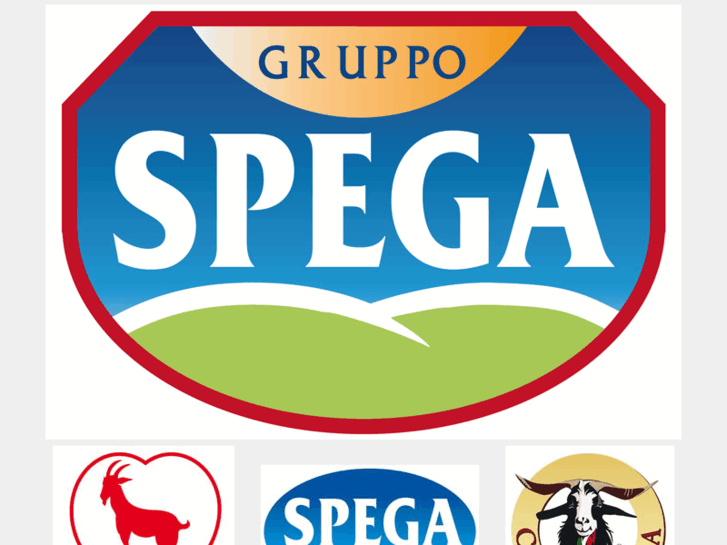 www.gruppospega.info